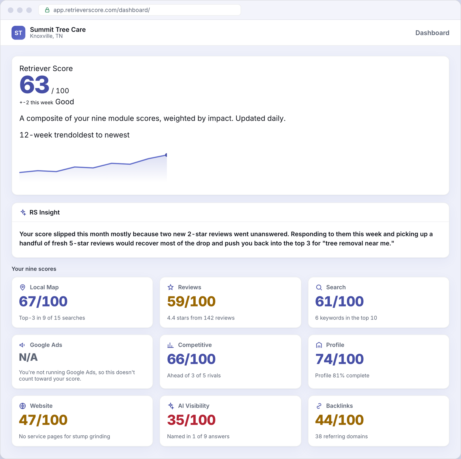 Retriever Score dashboard for an example Tree service business - overall online presence score