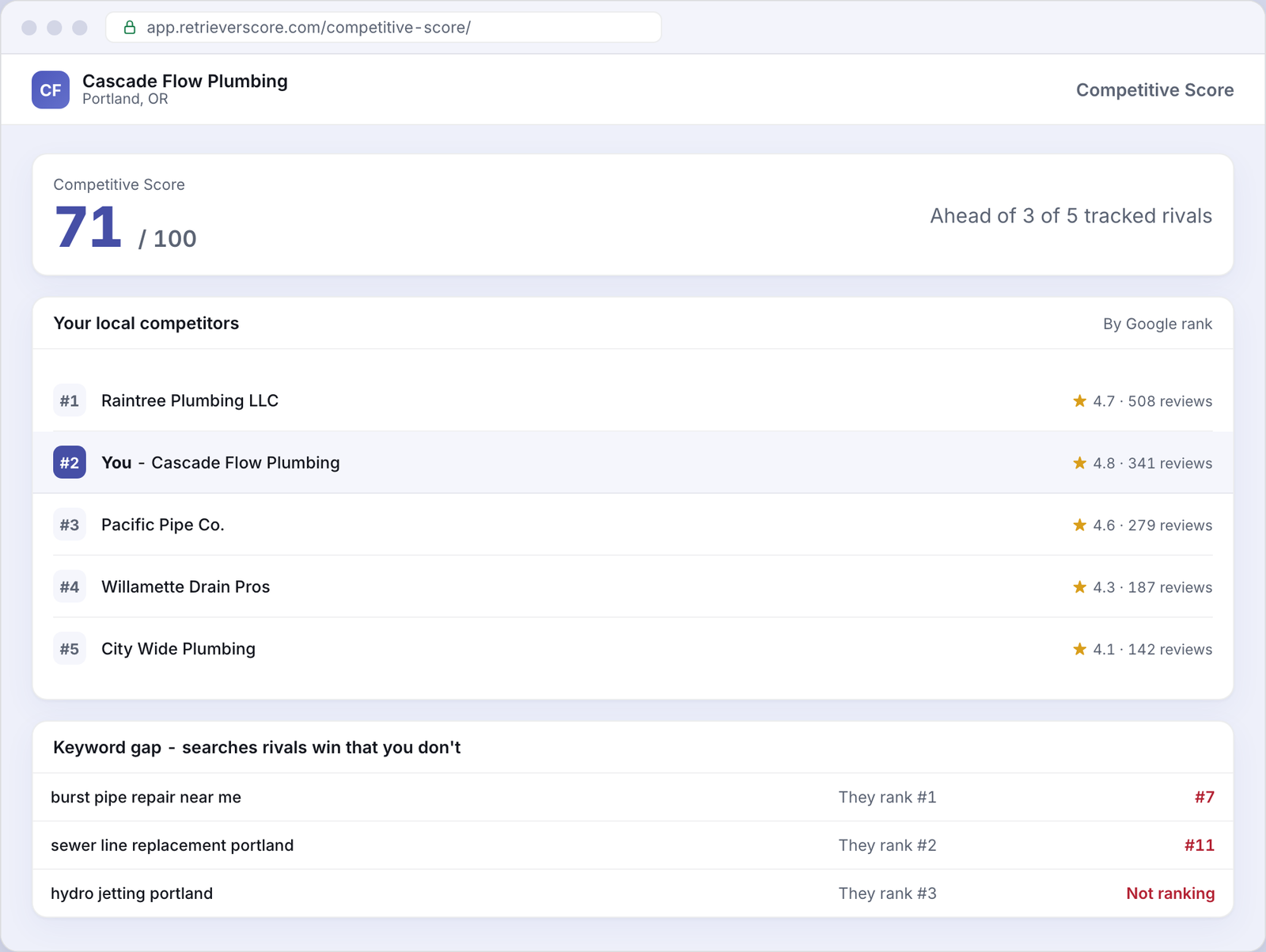 Competitive Score for an example Plumbing business