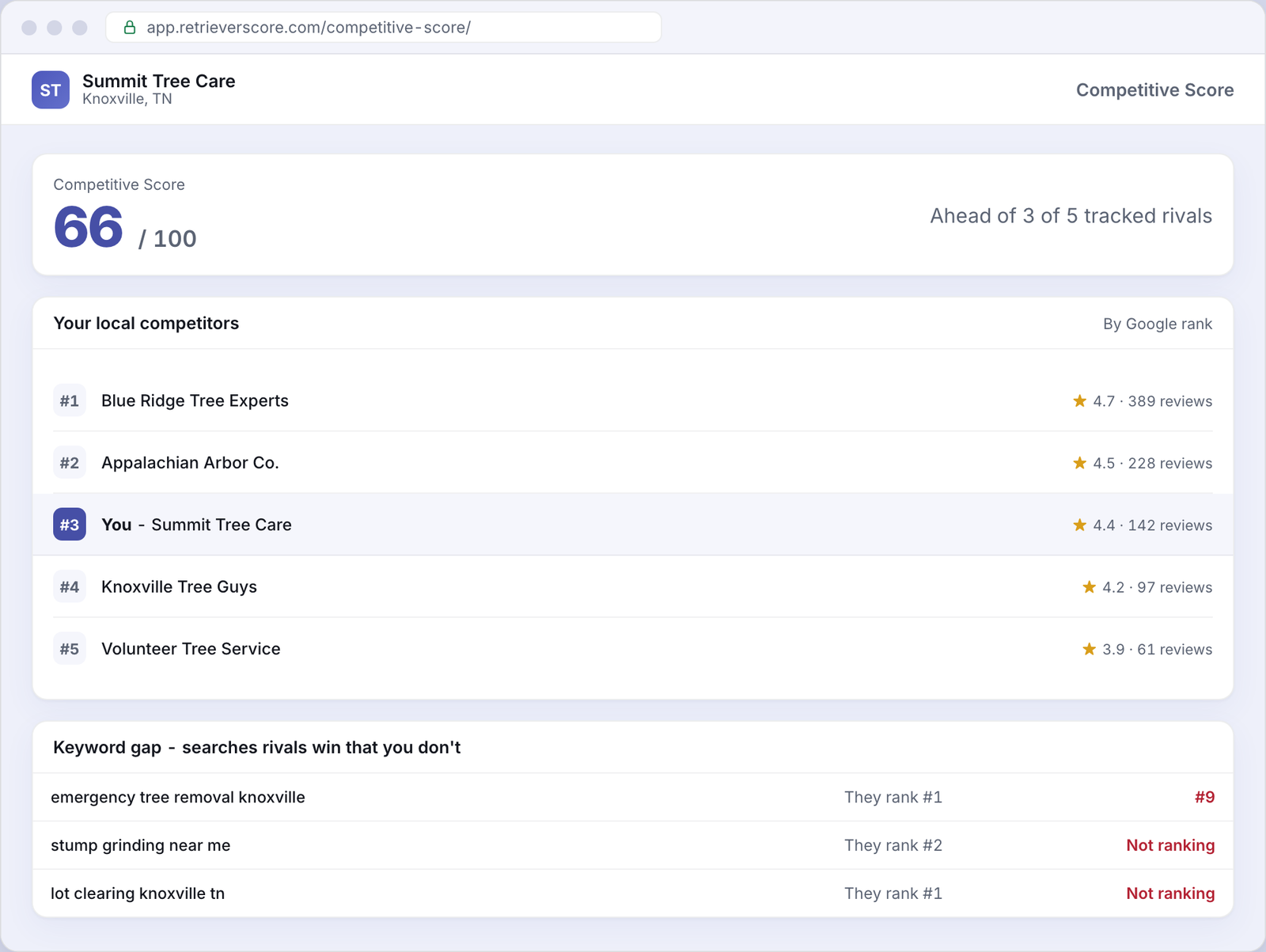 Competitive Score for an example Tree service business